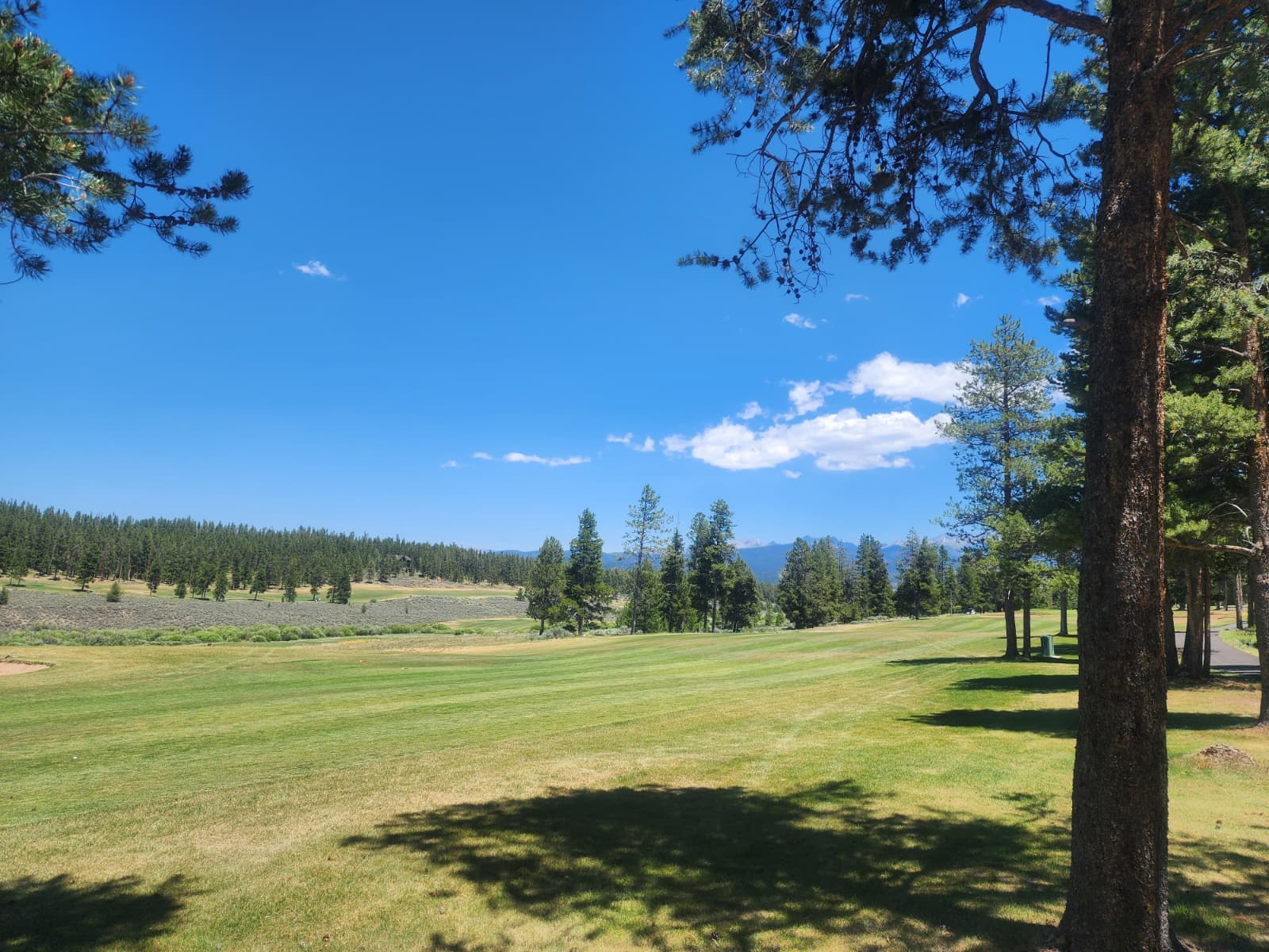 Pole Creek Round 4 gallery photo 8