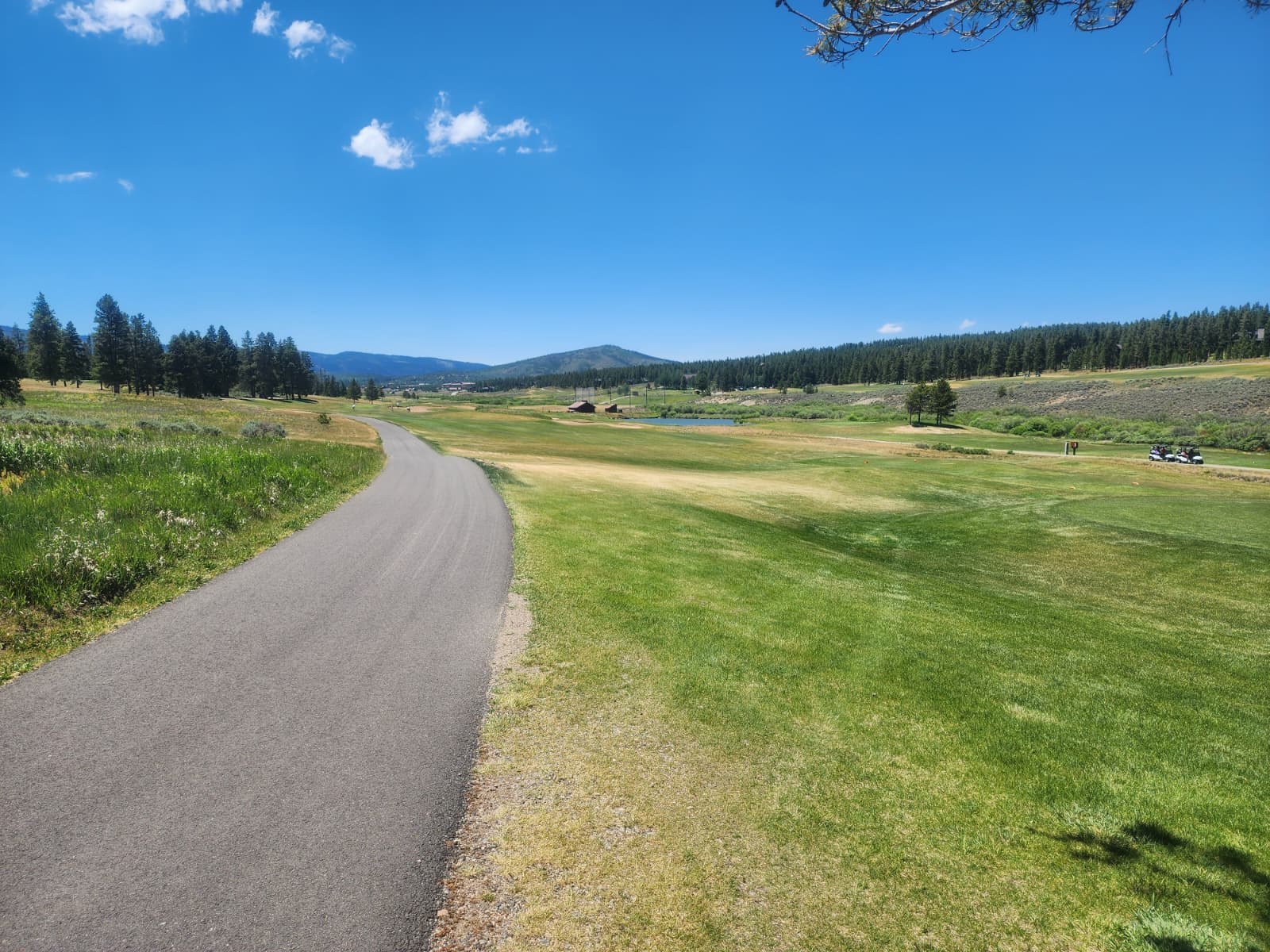 Pole Creek Round 4 gallery photo 9